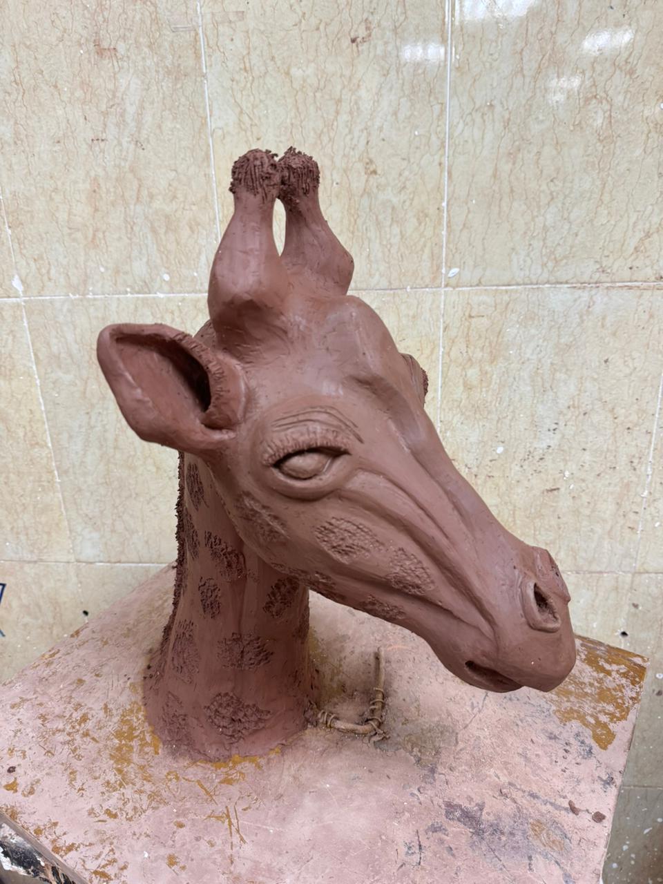 WhatsApp Image 2025 12 18 at 11.04.08 PM1