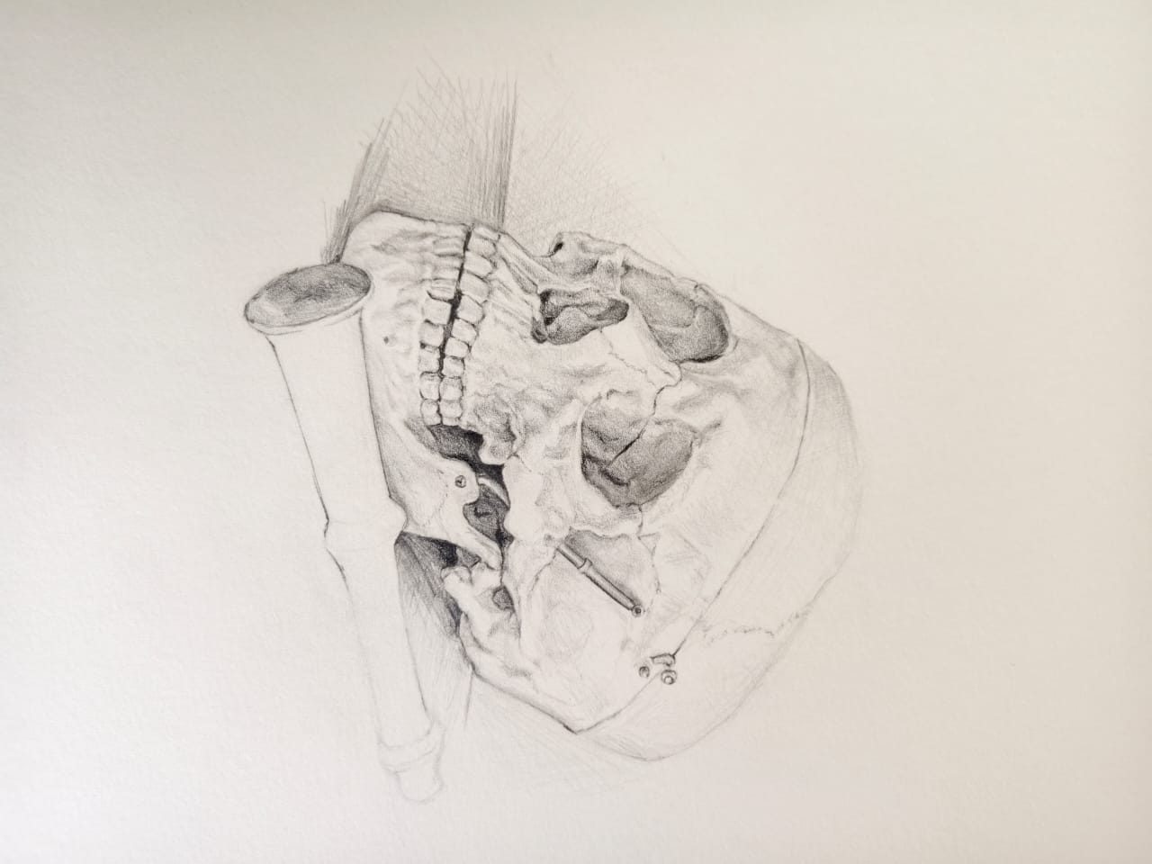 WhatsApp Image 2026 01 15 at 11.23.11 PM