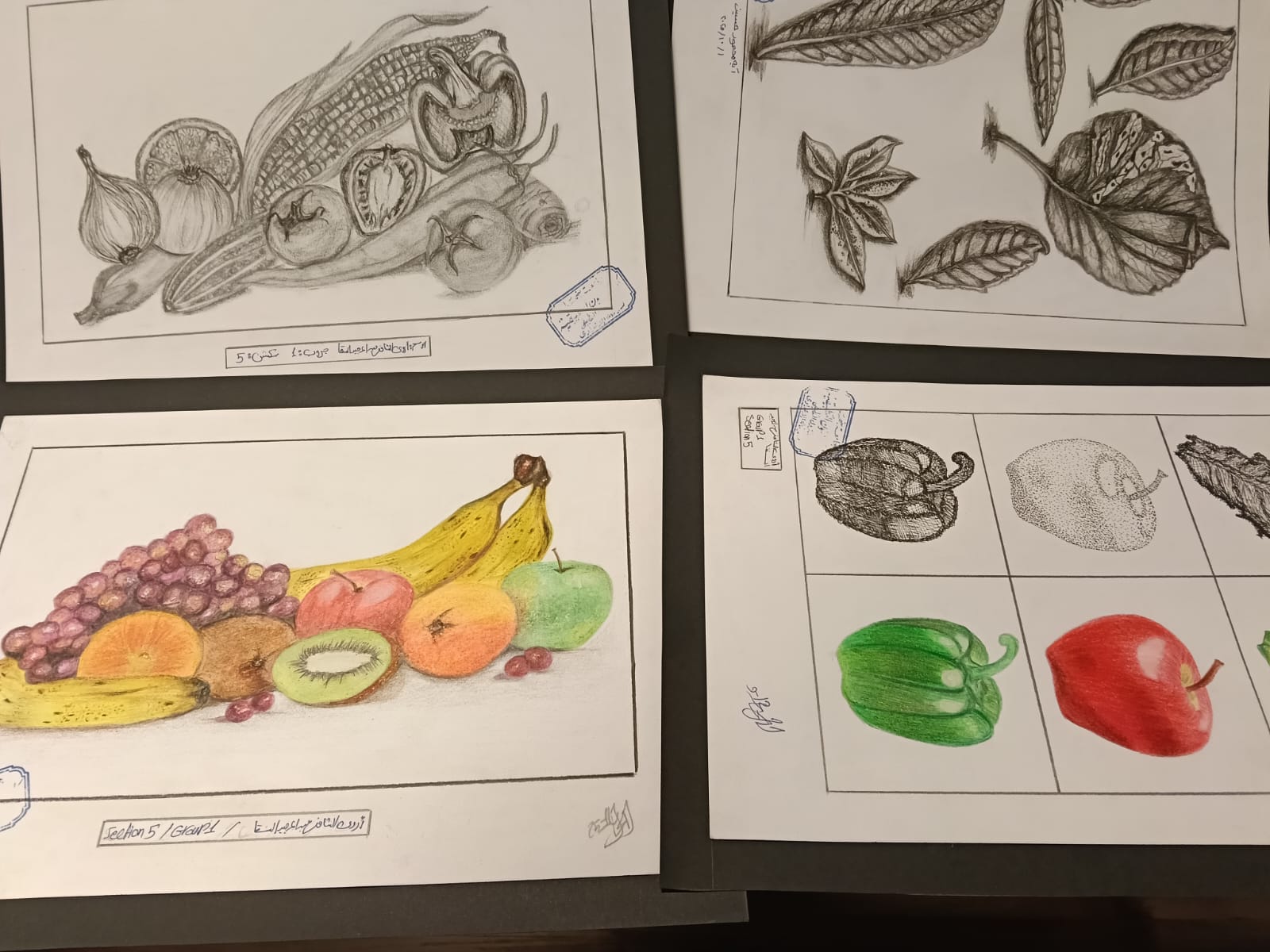 WhatsApp Image 2025 12 13 at 6.11.50 PM