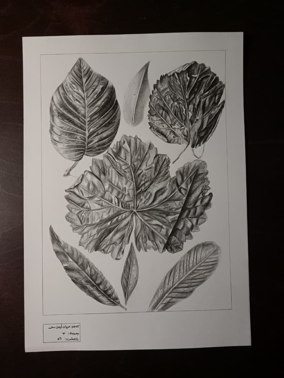 IMG 20251216 222905 119