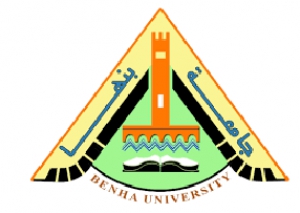 أعلان : ندوة فرص وتحديات سوق العمل بجامعة بنها