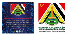 الفنون التطبيقية تشارك فى تجهيزات المؤتمر الصينى المصرى