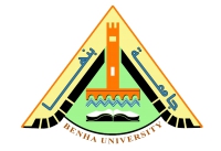 لأول مرة فى الجامعات المصرية وحدة للنزاهة العلمية بجامعة بنها